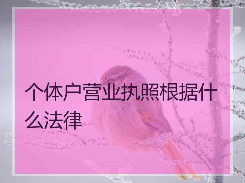 个体户营业执照根据什么法律