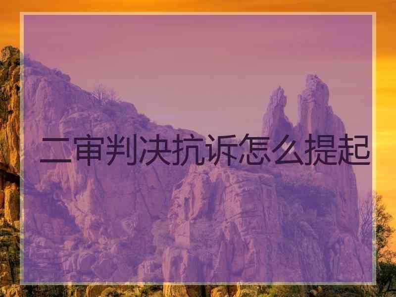 二审判决抗诉怎么提起