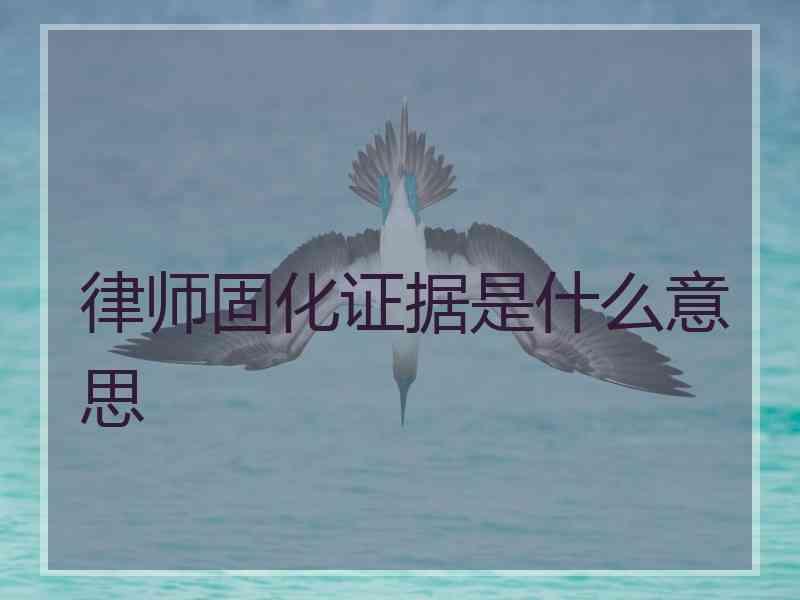 律师固化证据是什么意思