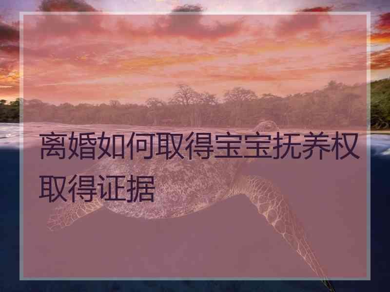 离婚如何取得宝宝抚养权取得证据