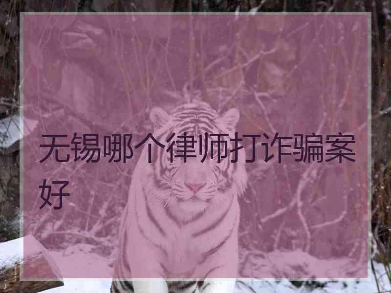 无锡哪个律师打诈骗案好