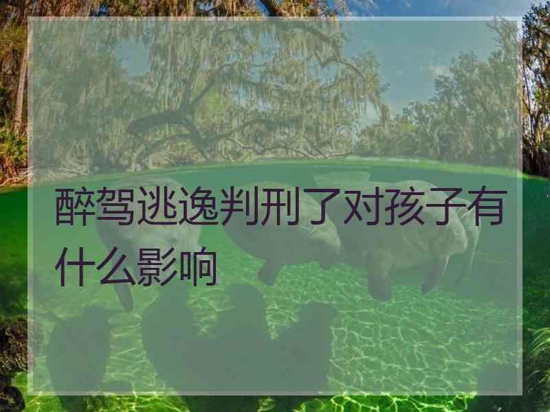 醉驾逃逸判刑了对孩子有什么影响