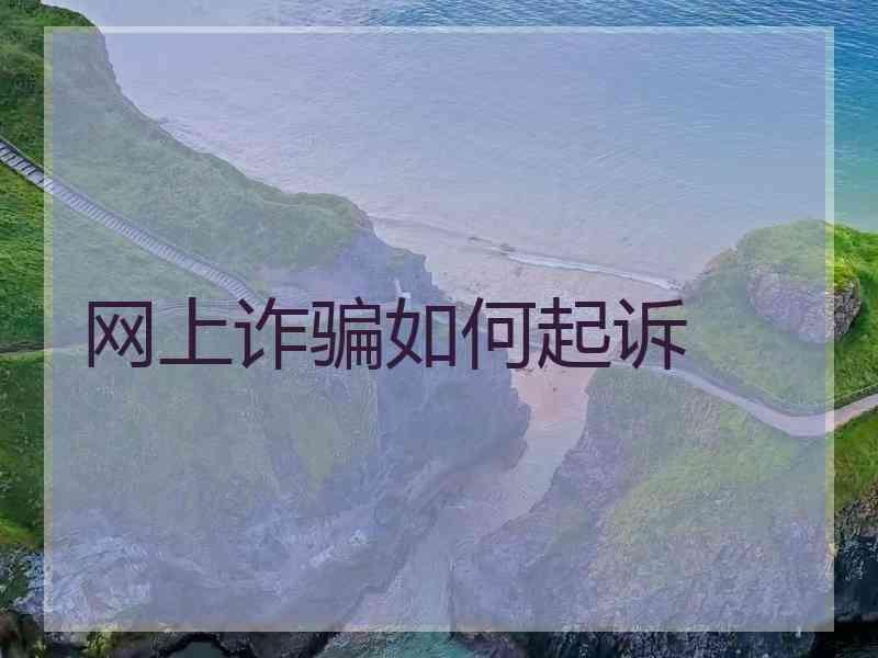 网上诈骗如何起诉