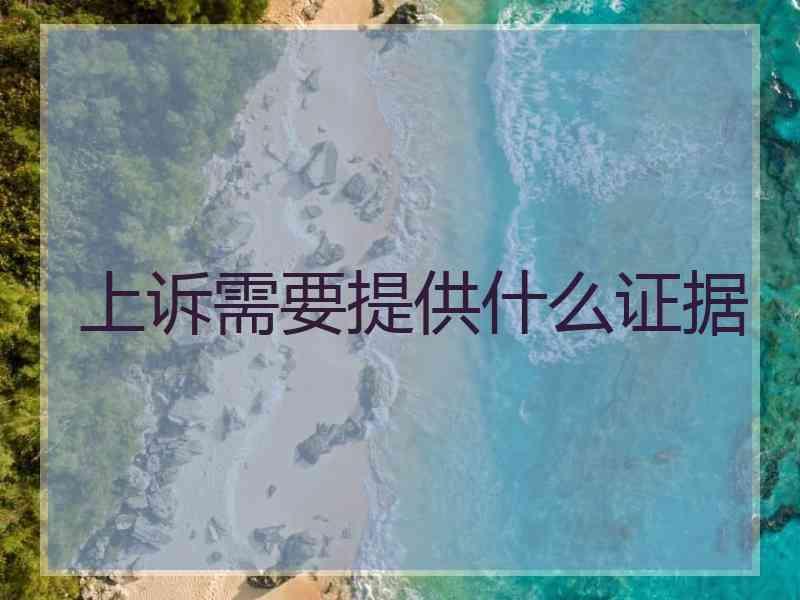 上诉需要提供什么证据