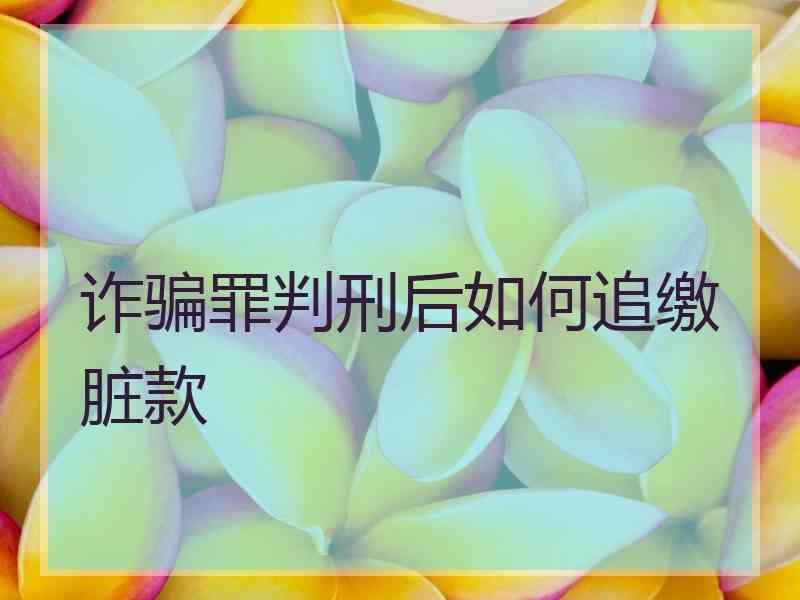 诈骗罪判刑后如何追缴脏款