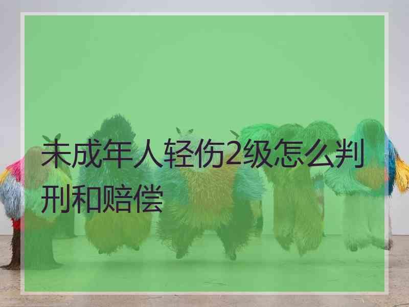 未成年人轻伤2级怎么判刑和赔偿