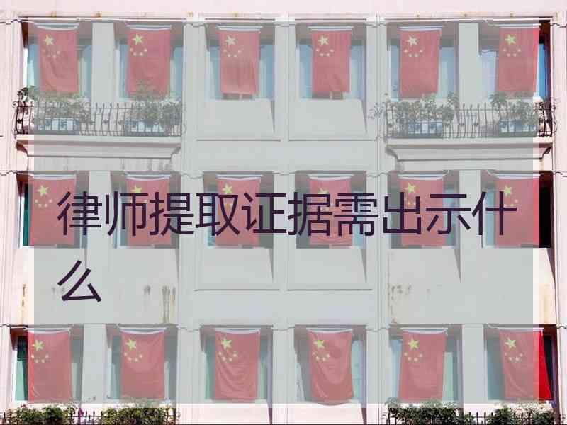 律师提取证据需出示什么