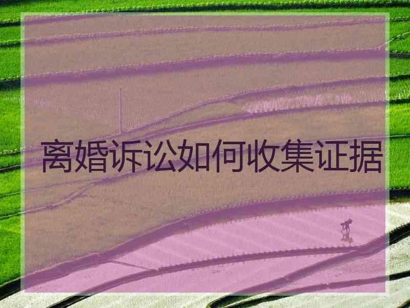 离婚诉讼如何收集证据