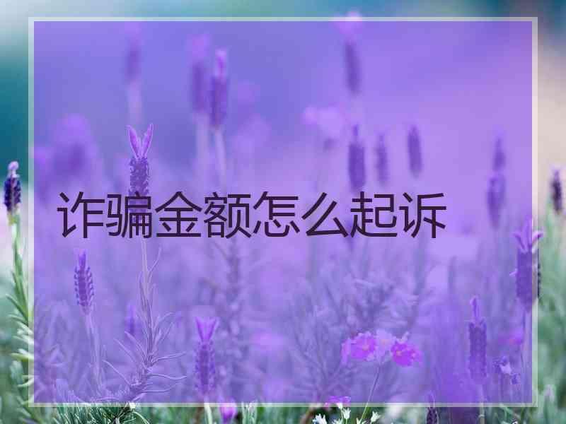 诈骗金额怎么起诉