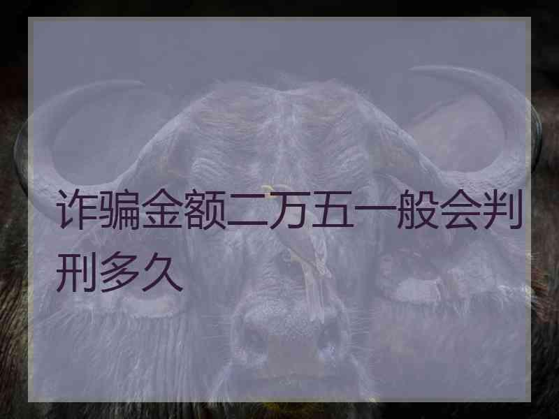 诈骗金额二万五一般会判刑多久