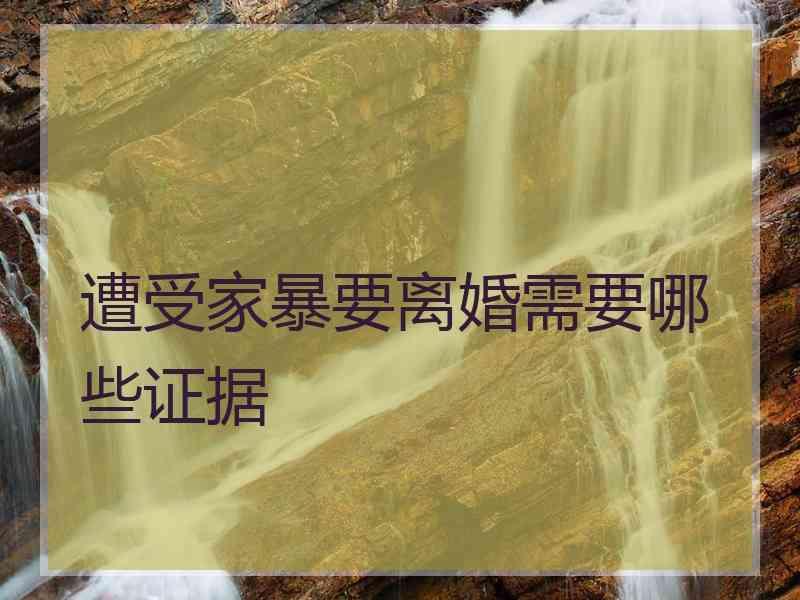 遭受家暴要离婚需要哪些证据