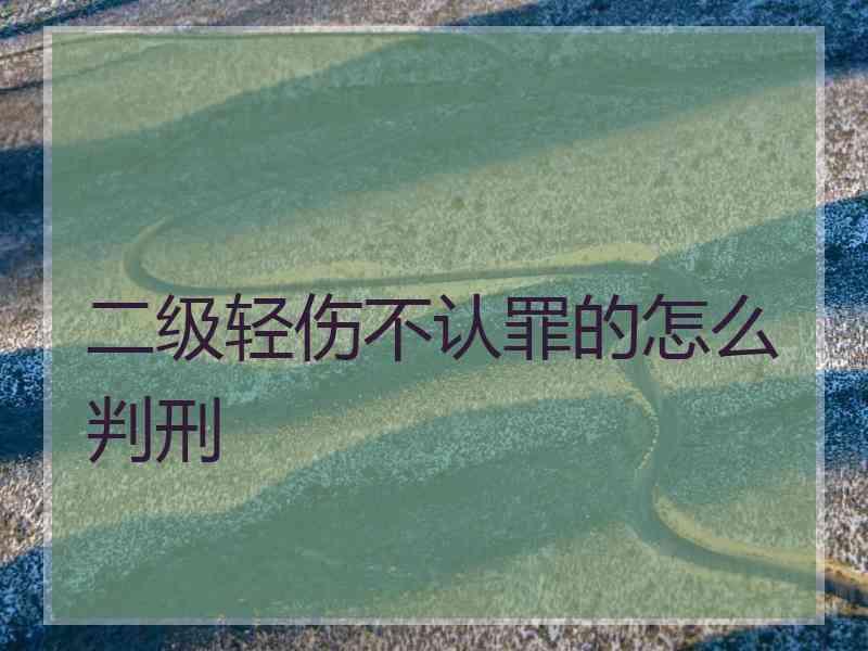 二级轻伤不认罪的怎么判刑