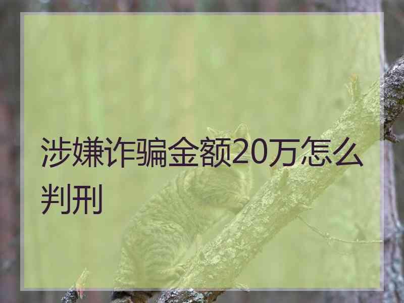 涉嫌诈骗金额20万怎么判刑