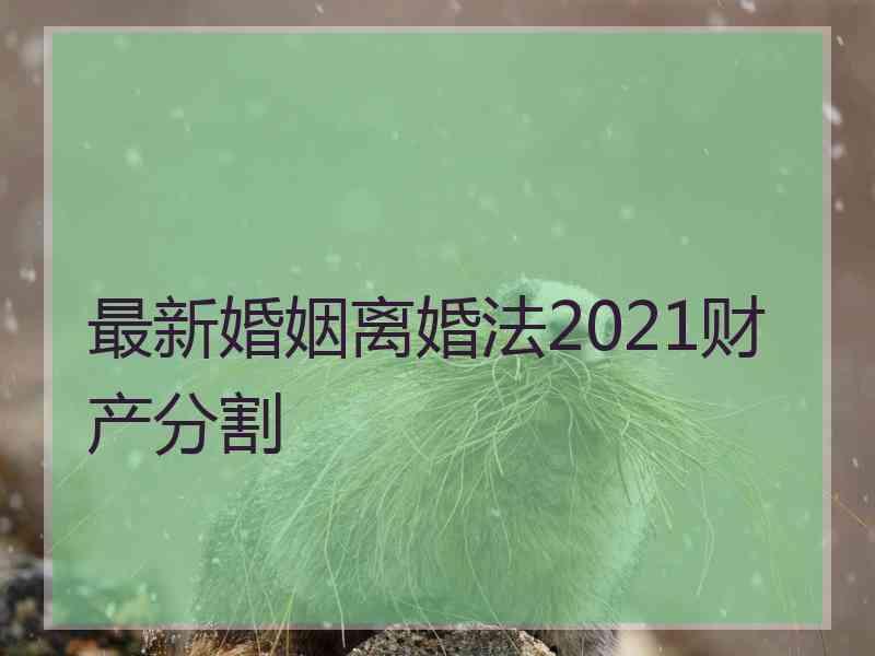 最新婚姻离婚法2021财产分割