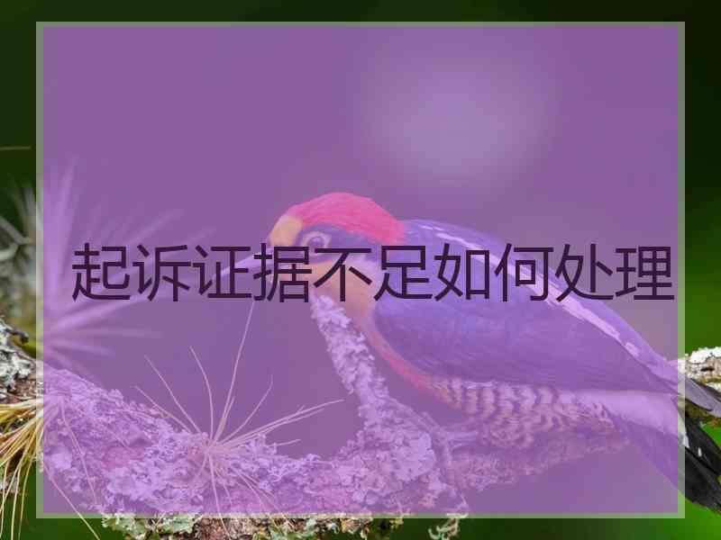 起诉证据不足如何处理