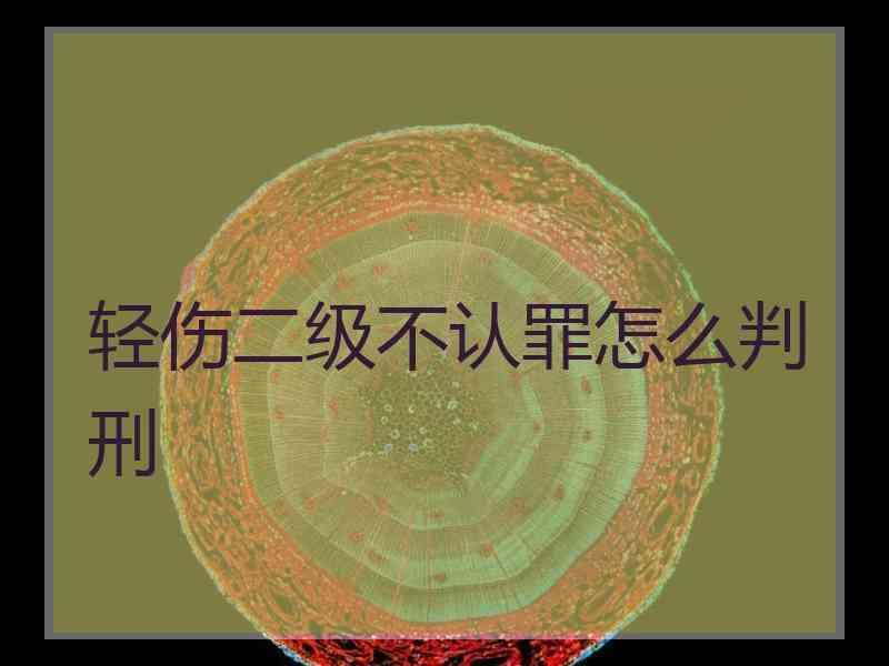 轻伤二级不认罪怎么判刑