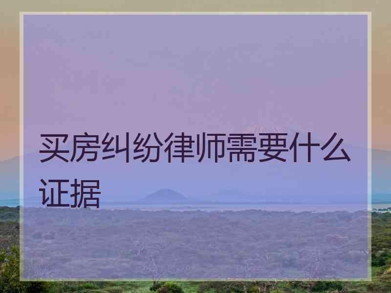 买房纠纷律师需要什么证据