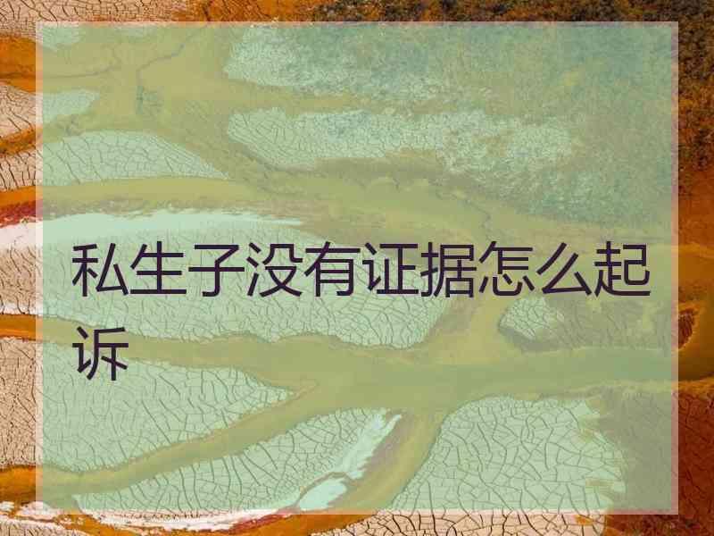 私生子没有证据怎么起诉