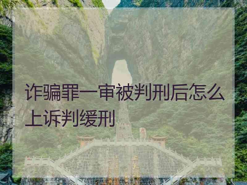 诈骗罪一审被判刑后怎么上诉判缓刑