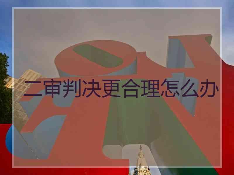 二审判决更合理怎么办