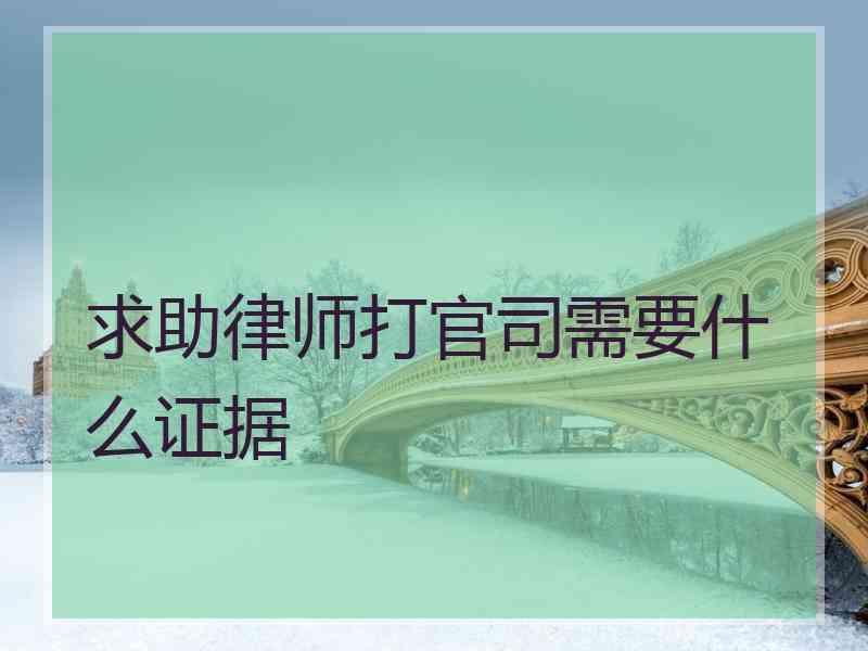 求助律师打官司需要什么证据