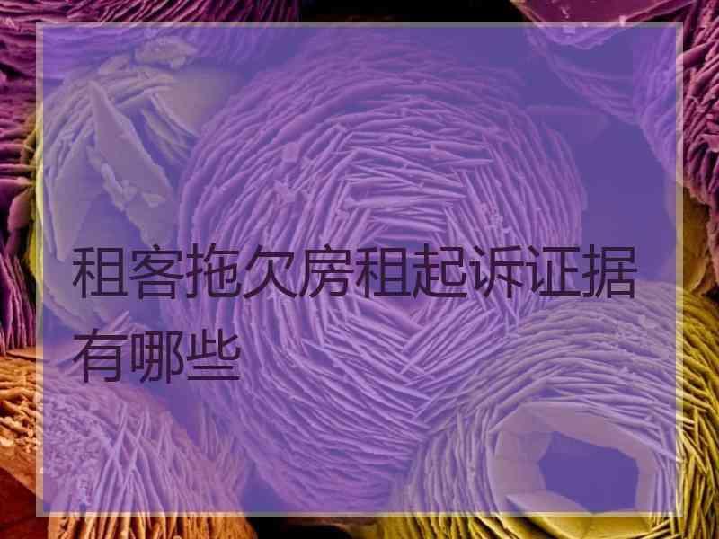 租客拖欠房租起诉证据有哪些