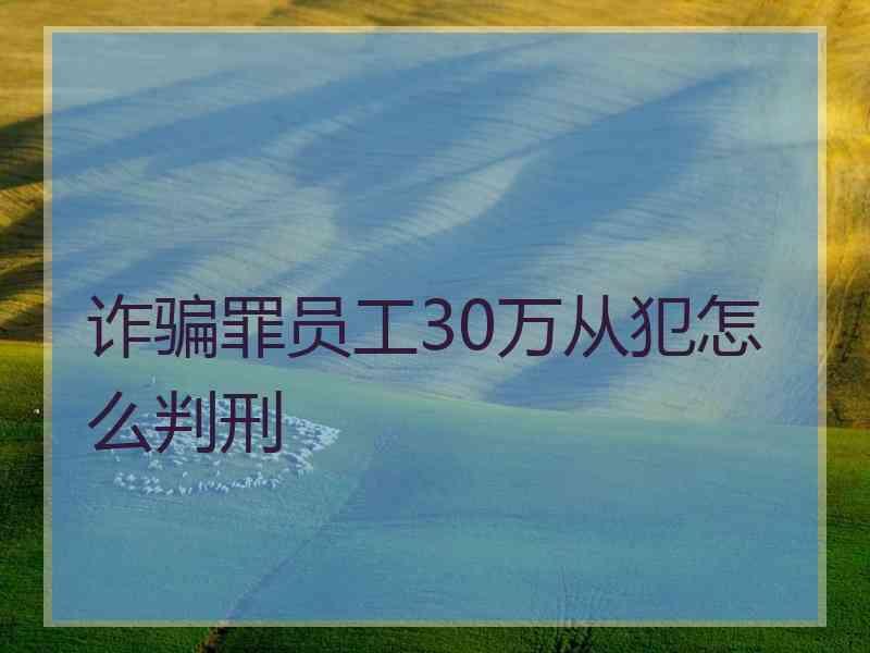 诈骗罪员工30万从犯怎么判刑