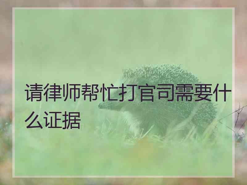 请律师帮忙打官司需要什么证据