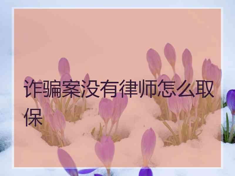 诈骗案没有律师怎么取保