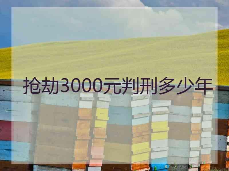 抢劫3000元判刑多少年