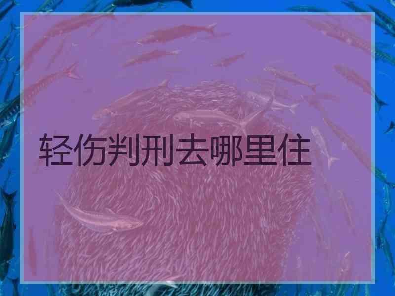 轻伤判刑去哪里住