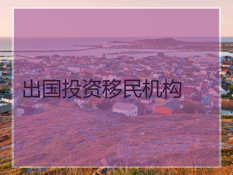 出国移民中介哪家好_出国移民中介出国移民_出国移民中介好不好