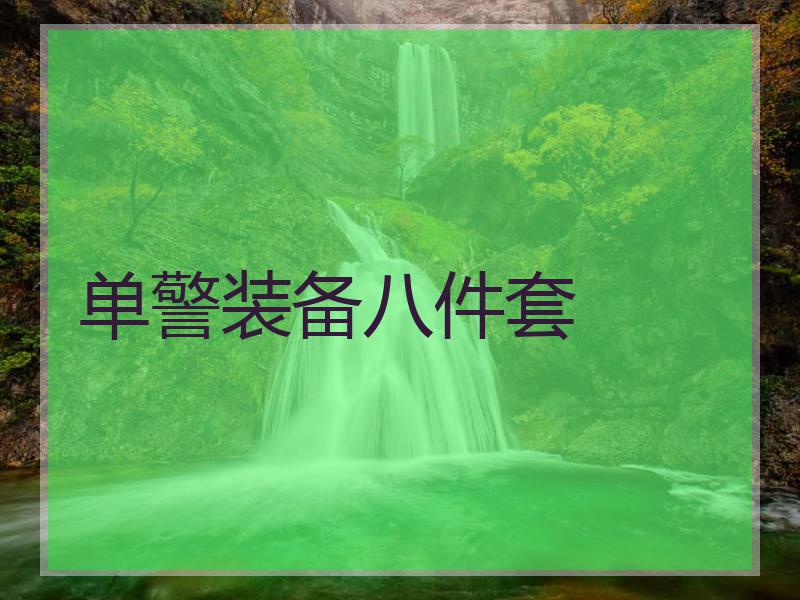 9月9日上午保安装备八件套有哪些,公安机关新型单警装备配发启动典礼